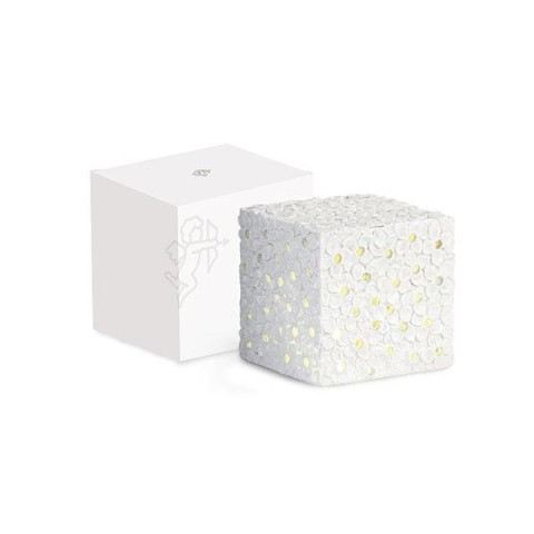 CUBO BIANCO FIORI CON LED E SC